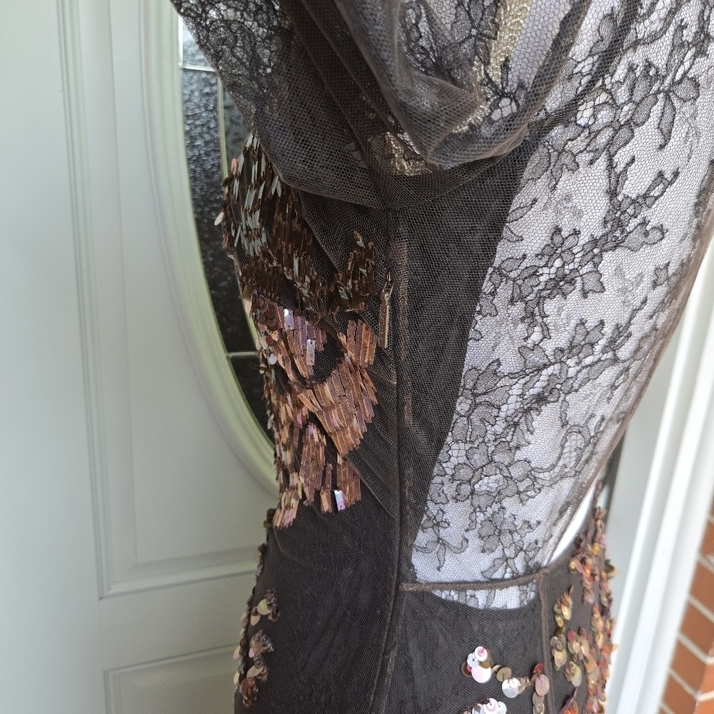 Roberto Cavalli Brown Lace Sequin Evening Dress - Picture 8 of 16